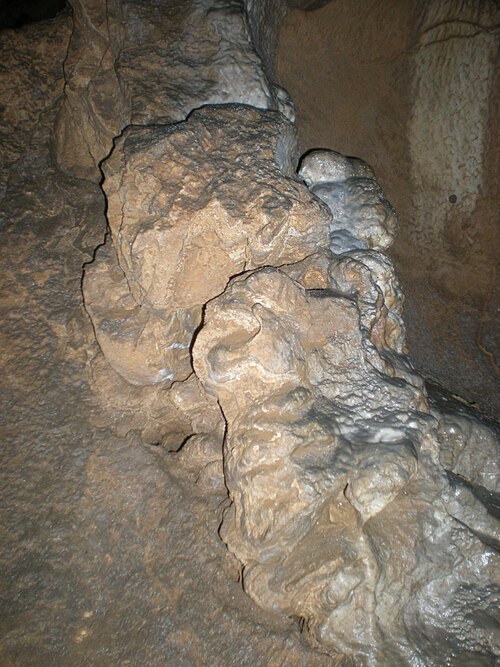 File:Ceremosnja.jpg