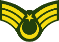 E.g. a Turkish Army OR-6 (kind) rank. Please note: Azerbaijan use a eight-pointed star