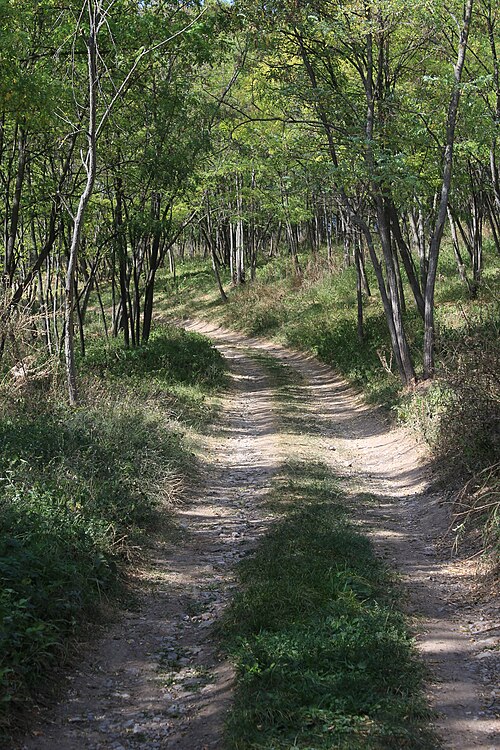 File:Miljkovac village 01.jpg