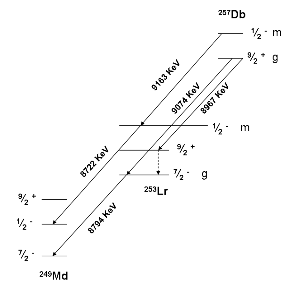 File:257Db decay scheme.png