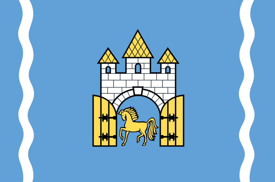 File:Brovarskiy rayon prapor.png