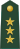 Colonel