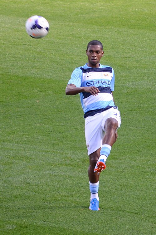 File:Fernandinho (9902055714).jpg