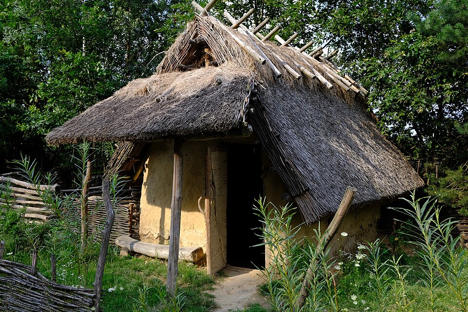 File:Osada neolityczna, Kopiec 04.jpg