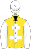 Yellow, white Cross of Lorraine, sleeves and cap