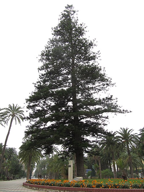 File:Parque Hernández, Melilla 4.jpg
