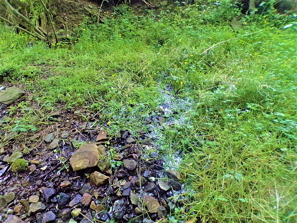 File:Spring flowing through grass.jpg