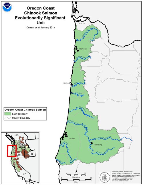 File:Web pdfs orc chinook.pdf