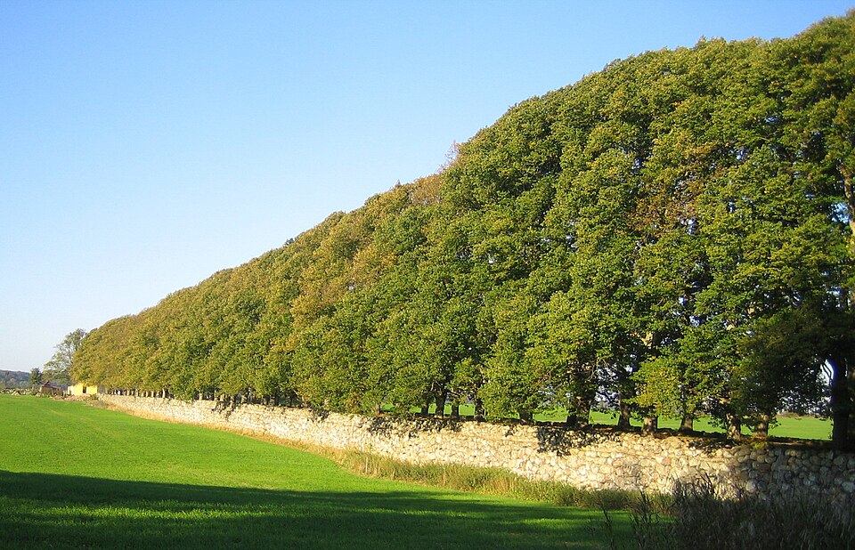 File:Övedskloster alle.jpg