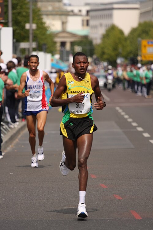 File:Phaustin Baha Sulle (TAN) (3855394445).jpg