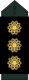 Colonel