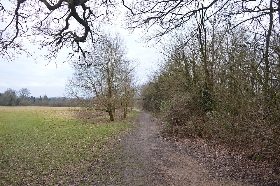 File:Cheshunt Park 11.JPG