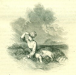 Illustration to The Story of ... El-Ward Fi-l-Akma'm