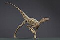 Lagosuchus