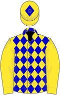 Yellow, blue diamonds on body and diamond on cap