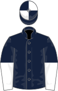 Dark blue, white halved sleeves, quartered cap