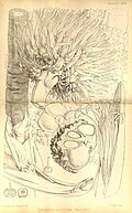 Thumbnail for version as of 17:12, 1 March 2016