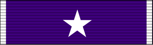 File:Texas Purple Heart Medal Ribbon.svg