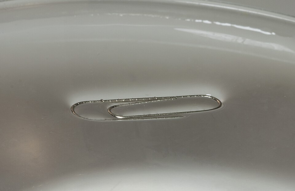 File:Water surface tension 2.jpg