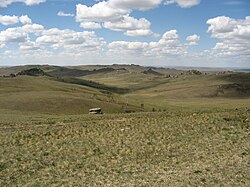 The Daurian forest steppe