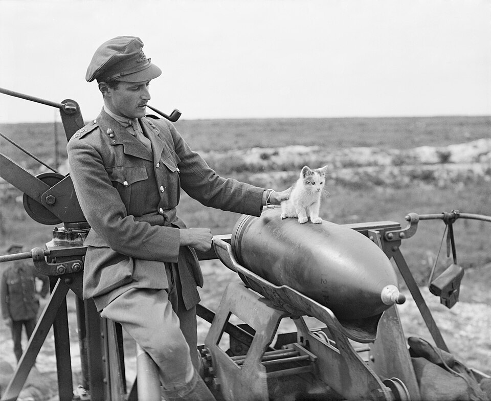 File:12inchRailwayHowitzerShell444SiegeBatteryAndKitten19July1918.jpg