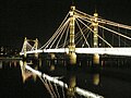 Albert Bridge at night