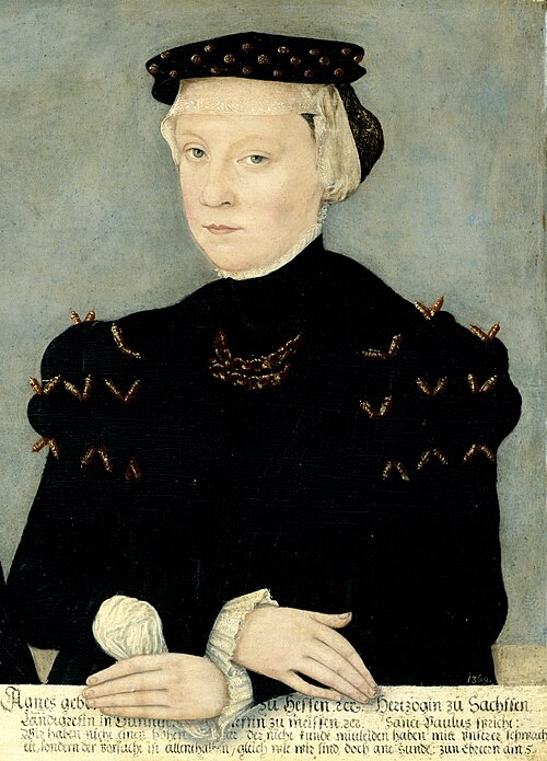 File:Cranach der Jüngere–Agnes von Hessen 1559.jpg