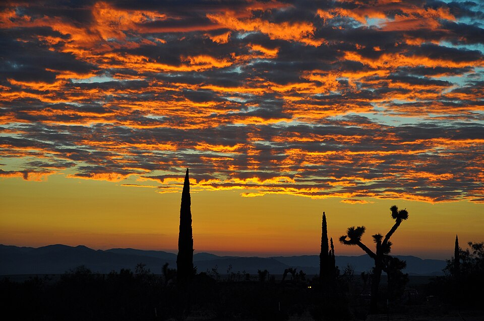 File:Desert Dawn.jpg