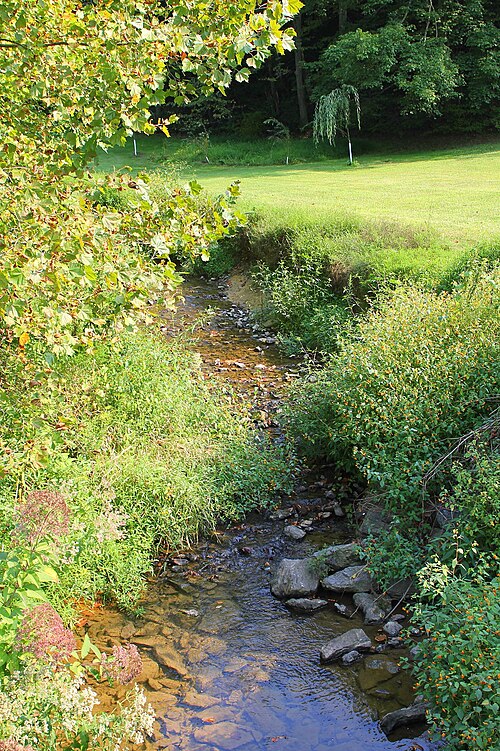 File:Mouse Creek looking upstream.JPG