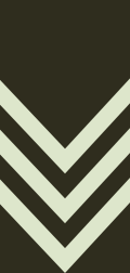 File:Seychelles Army OR-06 (2018).svg