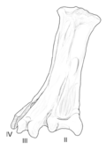 Thumbnail for version as of 21:18, 4 February 2018