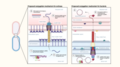 Thumbnail for version as of 15:35, 12 February 2023