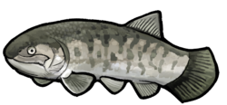Hispanamia newbreyi
