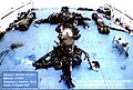 Thumbnail for version as of 13:27, 5 November 2022