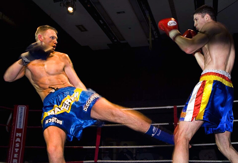 File:Low kick.jpg