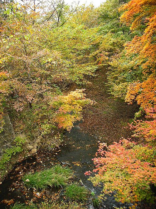 File:SaikachiGawa2005-11b.jpg