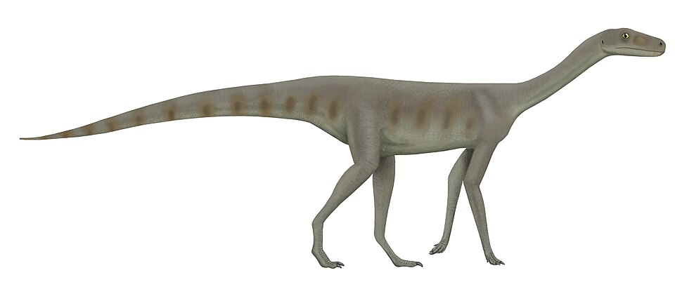 File:Asilisaurus.jpg
