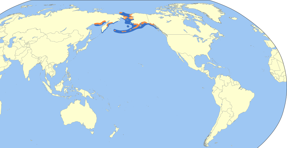 File:Brachyramphus brevirostris map.svg
