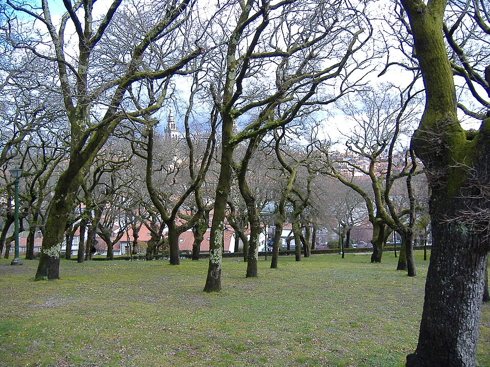 File:Carballeira de Santa Susana1.JPG