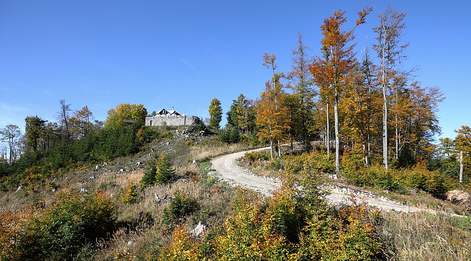 File:Hohenstein (Türnitzer Alpen) - Gipfel.JPG