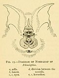 Thumbnail for version as of 19:19, 10 March 2018