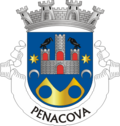 Coat of arms of Penacova municipality, Portugal