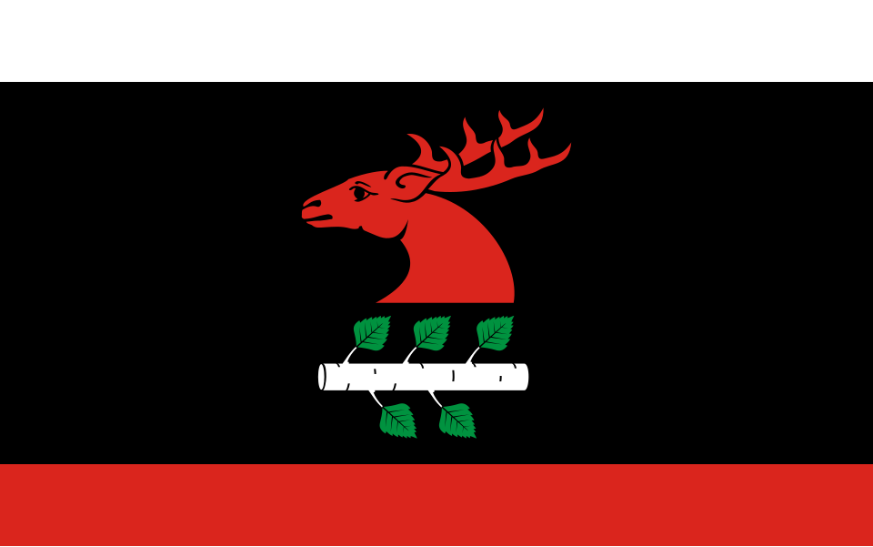 File:POL gmina Brzozie flag.svg