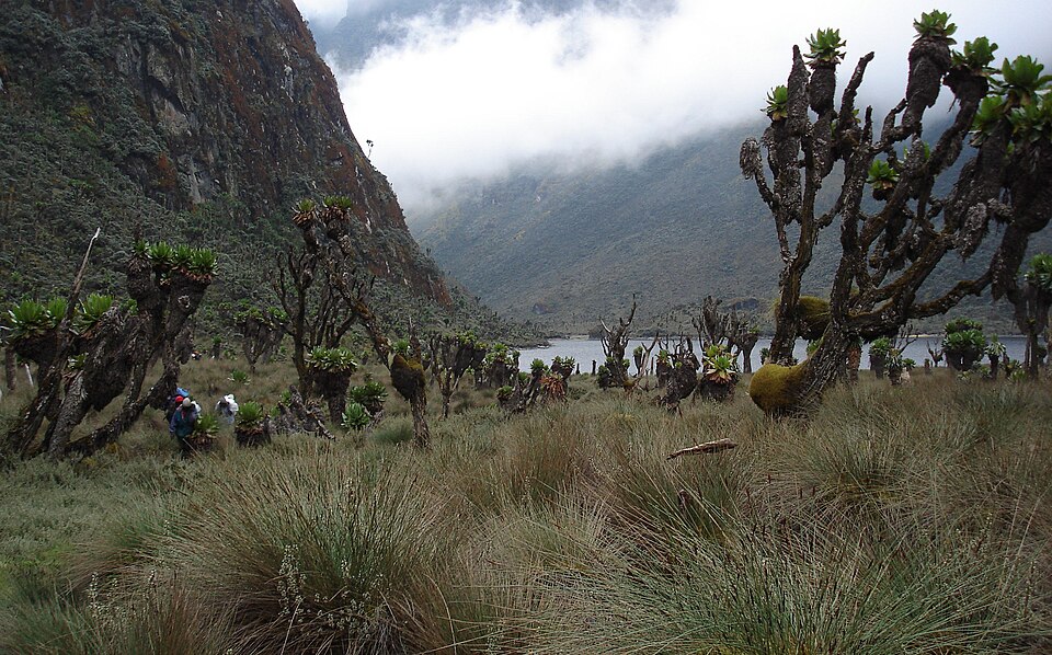 File:Ruwenzori Lake Bujuku 1.jpg