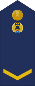 File:Venezuela-AirForce-OR-5.svg