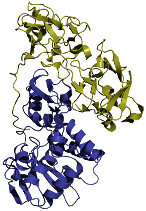 File:Abrin-a.png