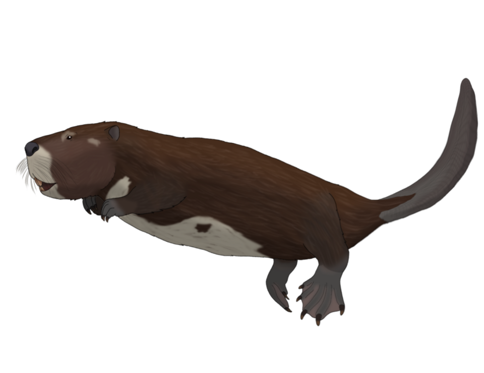File:Castoroides dilophidus.png