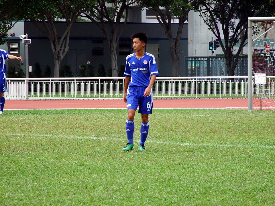 File:HK YiuHoMing 2011.JPG
