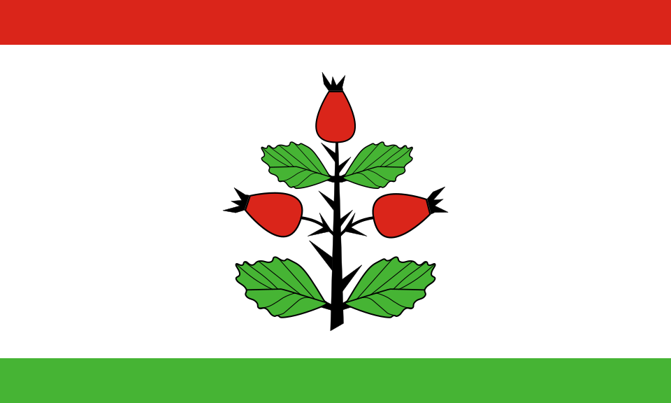 File:POL gmina Rzgów (powiat koniński) flag.svg