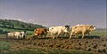 Ploughing in the Nivernais